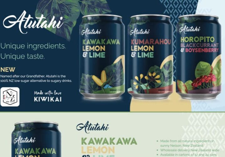 Atutahi web design nelson