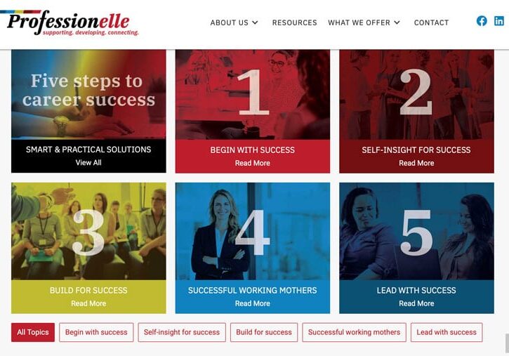 professionelle-website Professionelle NZ web design nelson