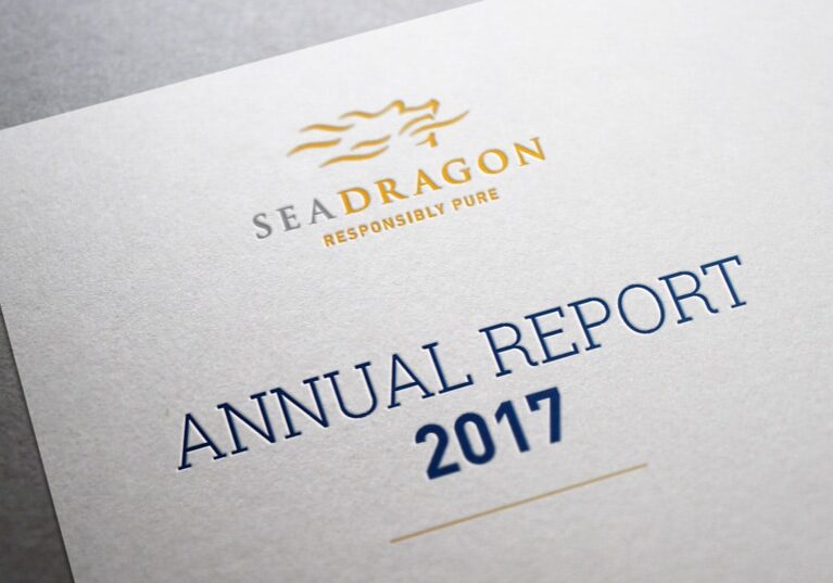 sdAR17 SeaDragon 2017 annual report design