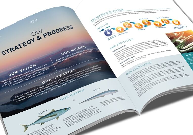 SEA18_2 SeaDragon annual report layout design