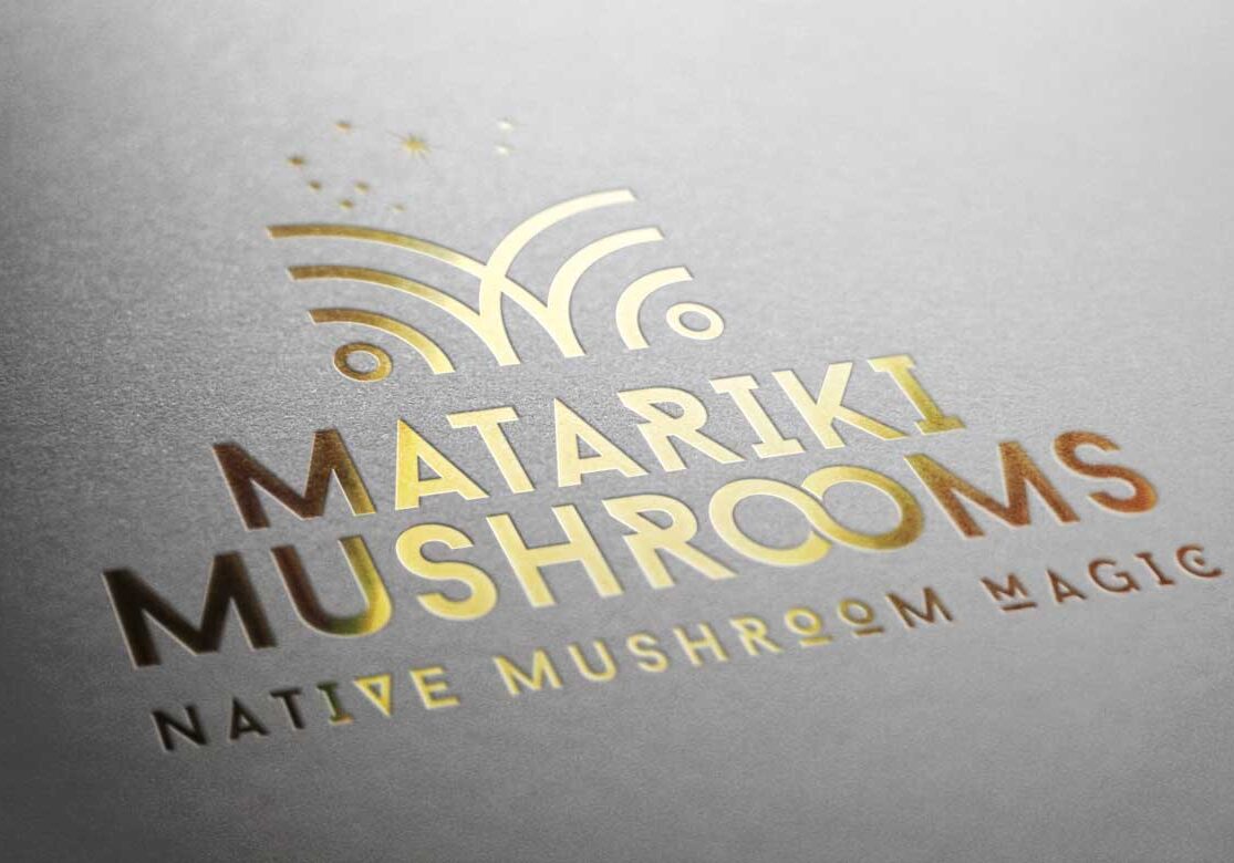 startup business logo
