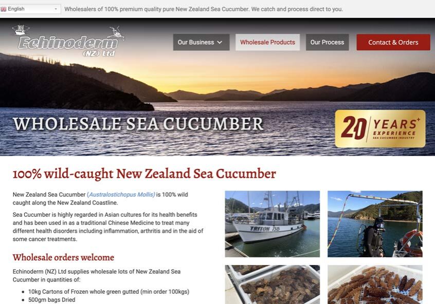 wholesale-sea-cucumber nz sea cucumber for sale